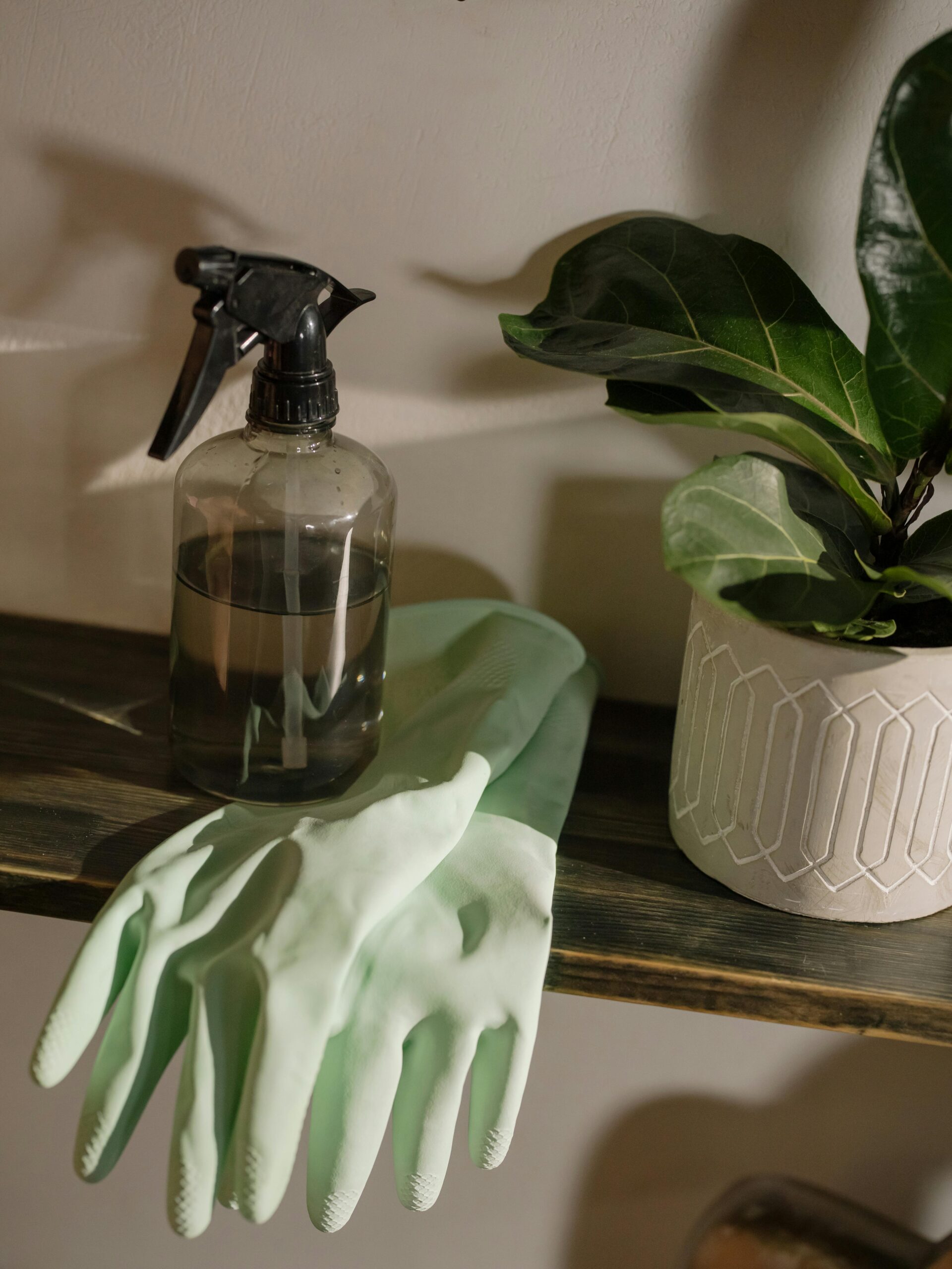 Photo of cleaning gloves and a spray bottle on a shelf next to a plant